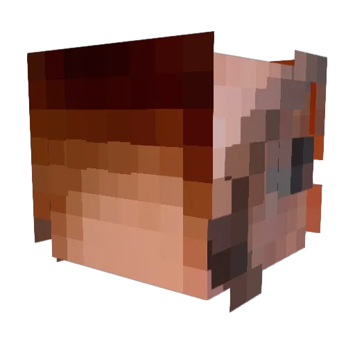 solf3g3 Minecraft avatar head, 3D render