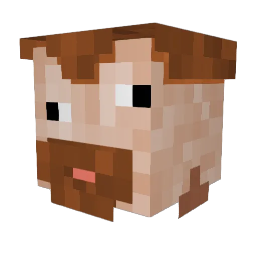 solfa Minecraft avatar head, 3D render
