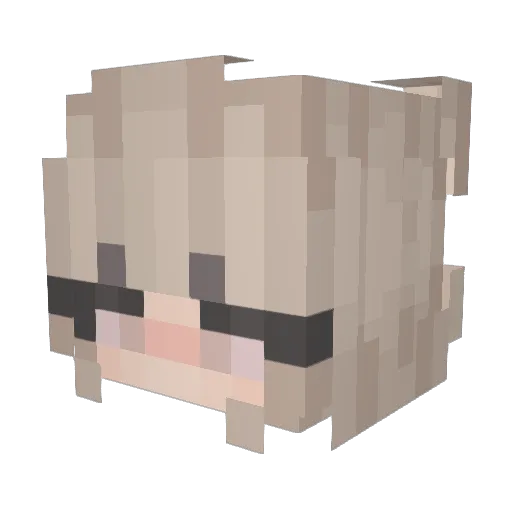 solgcao Minecraft avatar head, 3D render