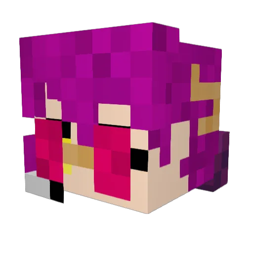 solid_cat Minecraft avatar head, 3D render