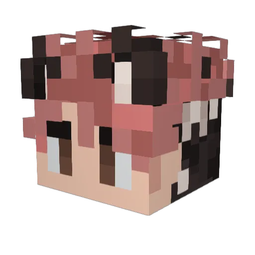 solidtree108 Minecraft avatar head, 3D render