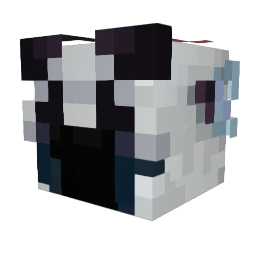 solifbbl Minecraft avatar head, 3D render