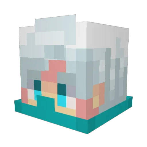 solighty2 Minecraft avatar head, 3D render