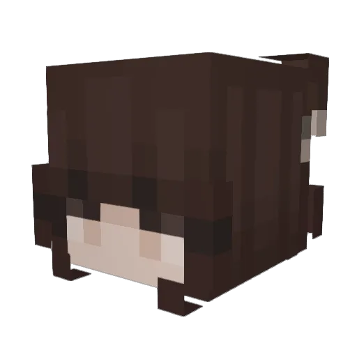 solimity Minecraft avatar head, 3D render