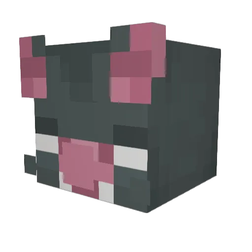 solipsist_rat Minecraft avatar head, 3D render