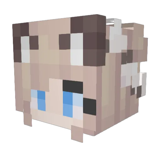 sollace579ytb Minecraft avatar head, 3D render