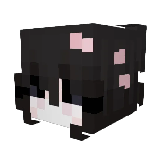 solliey Minecraft avatar head, 3D render