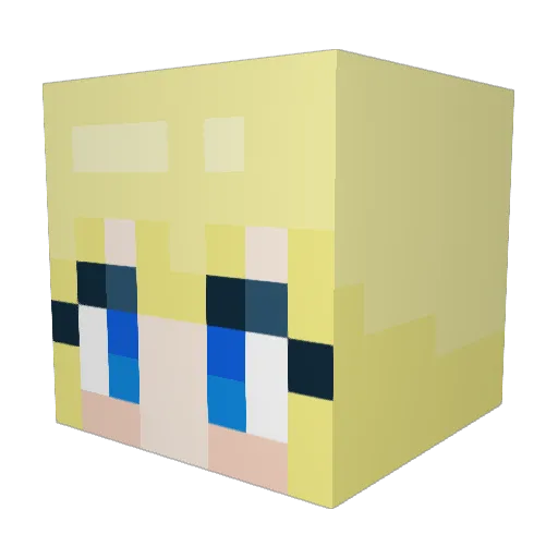 sollip214 Minecraft avatar head, 3D render