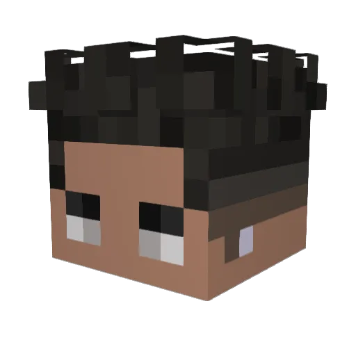 solllbeen Minecraft avatar head, 3D render