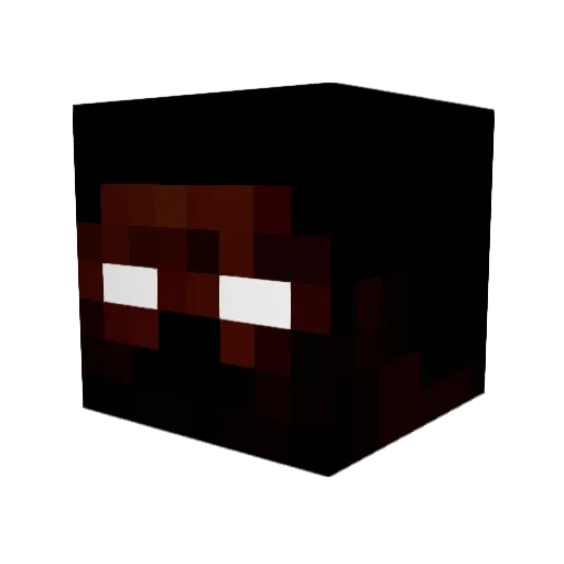 soloX154 Minecraft avatar head, 3D render