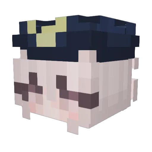 solohates8l4cks Minecraft avatar head, 3D render
