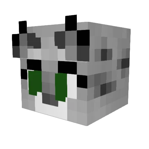 solomon_17 Minecraft avatar head, 3D render