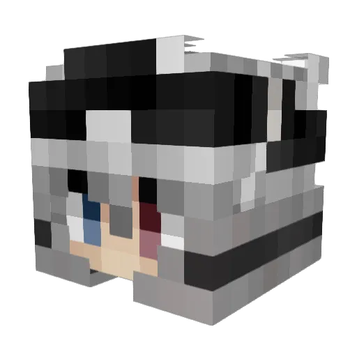 solrac_YT Minecraft avatar head, 3D render