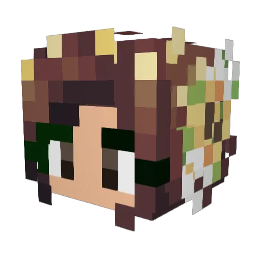 solunar111 Minecraft avatar head, 3D render