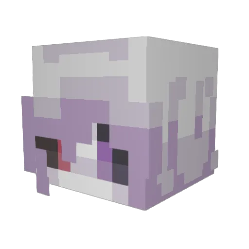 solv1icarus Minecraft avatar head, 3D render