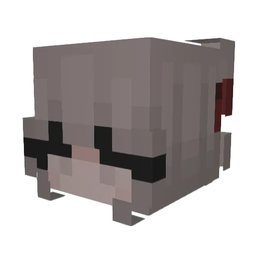 solvanasss Minecraft avatar head, 3D render