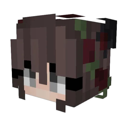 solveighty Minecraft avatar head, 3D render