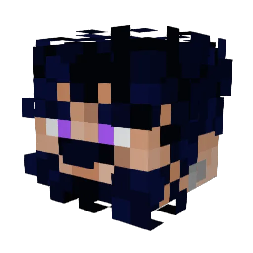 solz420 Minecraft avatar head, 3D render
