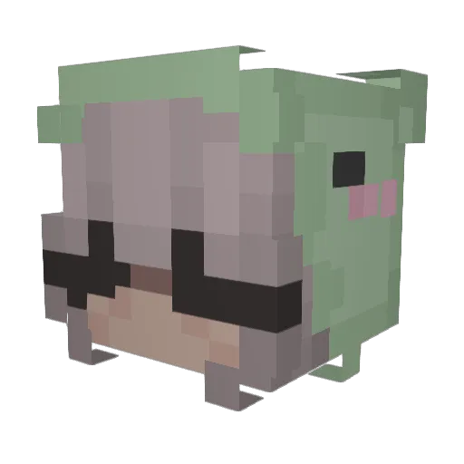 solzinha07 Minecraft avatar head, 3D render