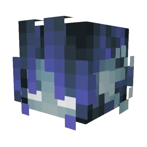 somakilleur Minecraft avatar head, 3D render