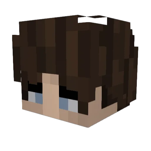 somalipirate_10 Minecraft avatar head, 3D render