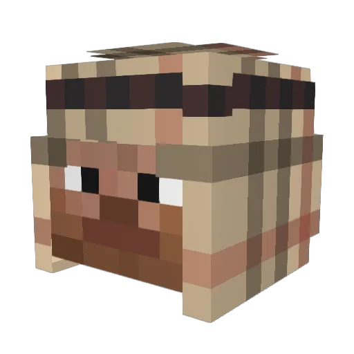 somanyallergies Minecraft avatar head, 3D render
