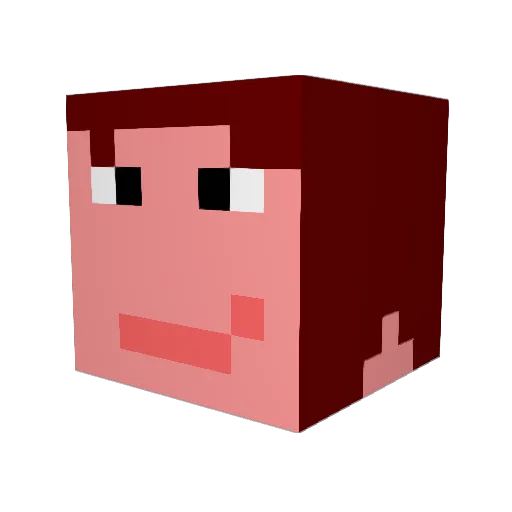 sombrerothehat Minecraft avatar head, 3D render