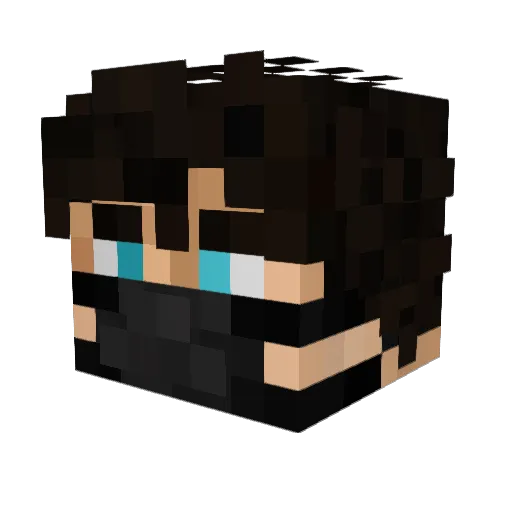 some_someone Minecraft avatar head, 3D render
