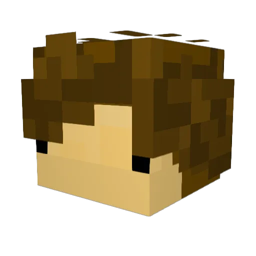 somebody1133 Minecraft avatar head, 3D render