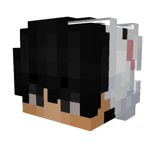 somebodysaid Minecraft avatar head, 3D render
