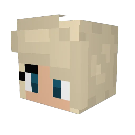 somecallmefanch Minecraft avatar head, 3D render