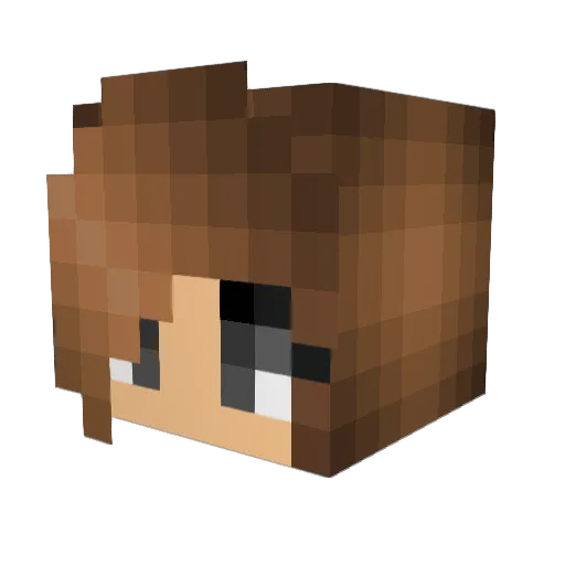 somecek Minecraft avatar head, 3D render