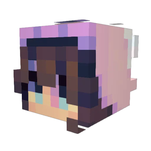 somecoolgurl64 Minecraft avatar head, 3D render
