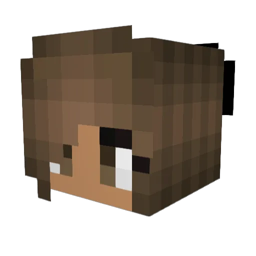 somedudelul Minecraft avatar head, 3D render