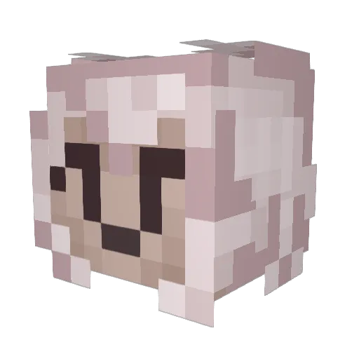 someguy3078 Minecraft avatar head, 3D render
