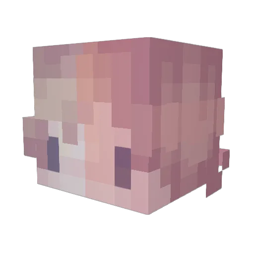 someguy4Life Minecraft avatar head, 3D render