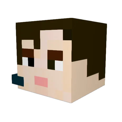 someguyf Minecraft avatar head, 3D render