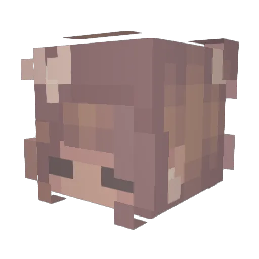 someidiotlol Minecraft avatar head, 3D render