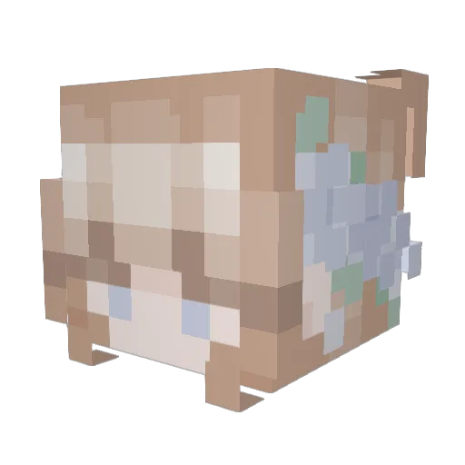 somelet Minecraft avatar head, 3D render