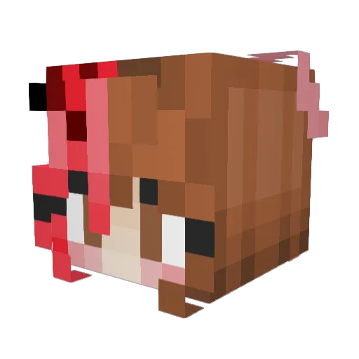 somenerdlol Minecraft avatar head, 3D render