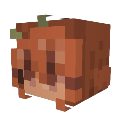 someone_101 Minecraft avatar head, 3D render