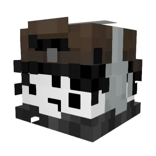 someone_possibly Minecraft avatar head, 3D render