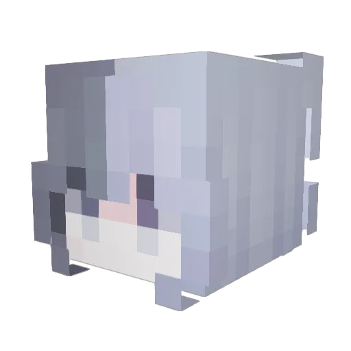 someonelover Minecraft avatar head, 3D render