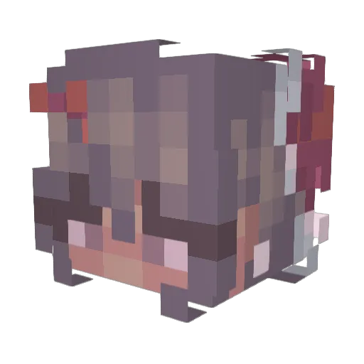 someoneunknownn Minecraft avatar head, 3D render