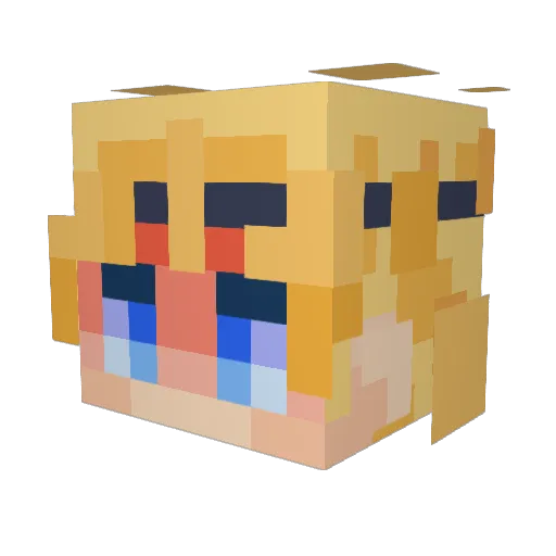 someplaces Minecraft avatar head, 3D render