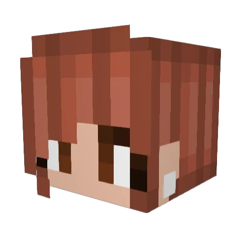 somered Minecraft avatar head, 3D render