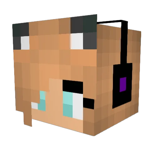 somethingcool13 Minecraft avatar head, 3D render