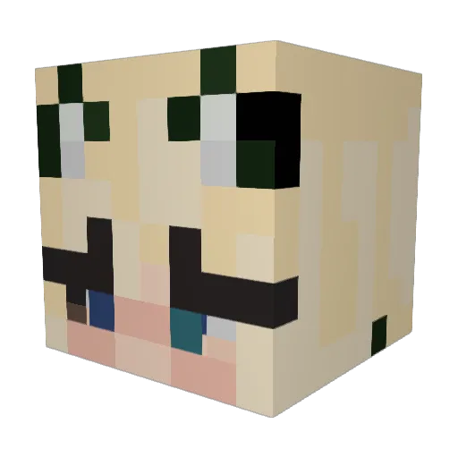 somlua Minecraft avatar head, 3D render