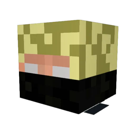 sommedawg Minecraft avatar head, 3D render