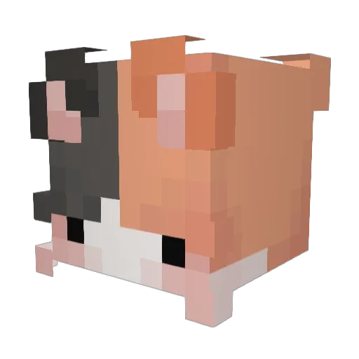 somnei_ Minecraft avatar head, 3D render